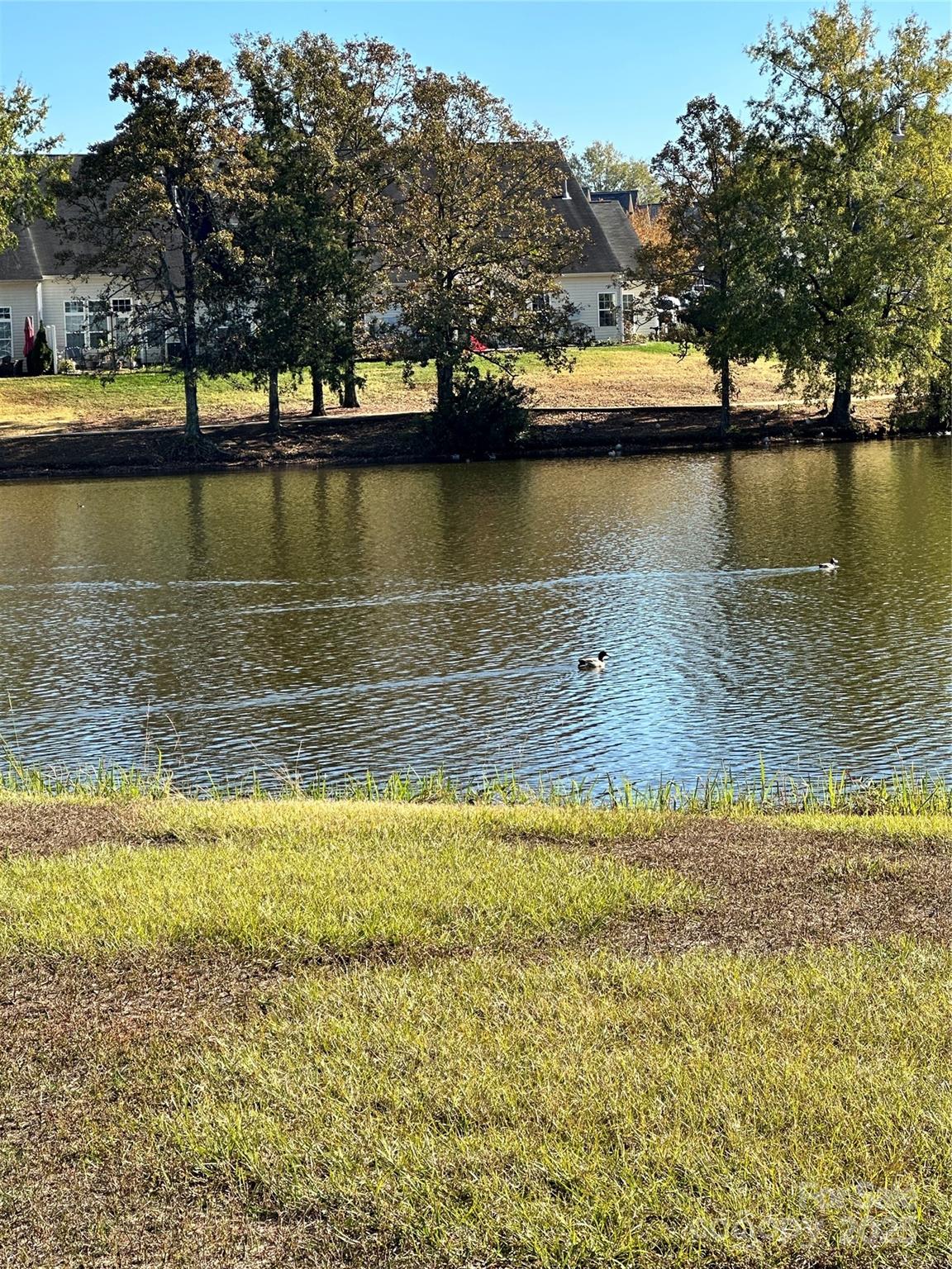 878 Summerlake Drive — Fort Mill