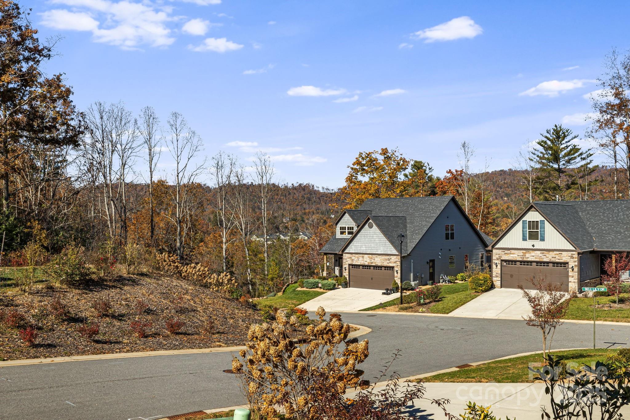 504 Rosebud Orchid Way — Weaverville