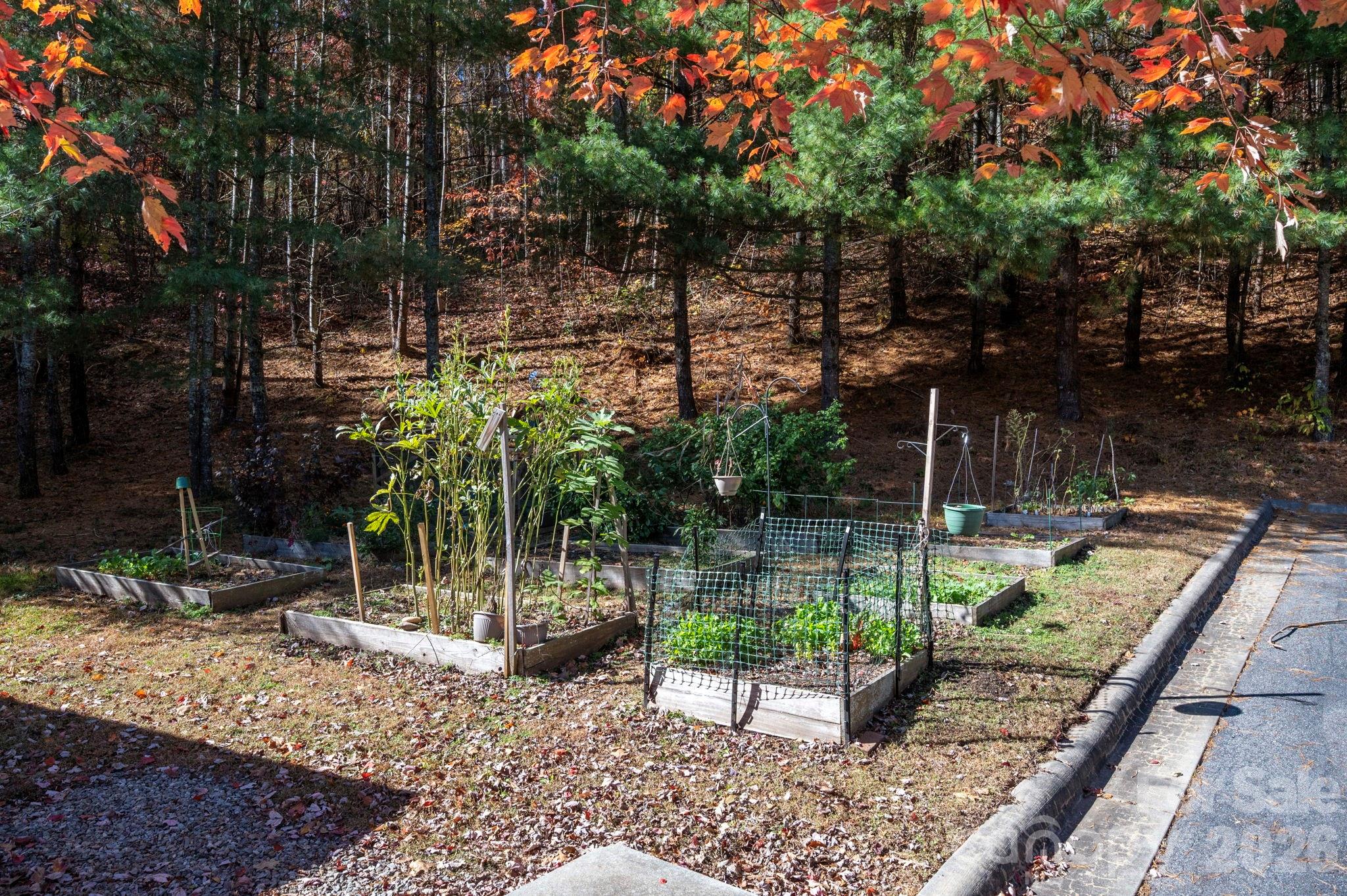 600 Vista Lake Drive #4 — Candler