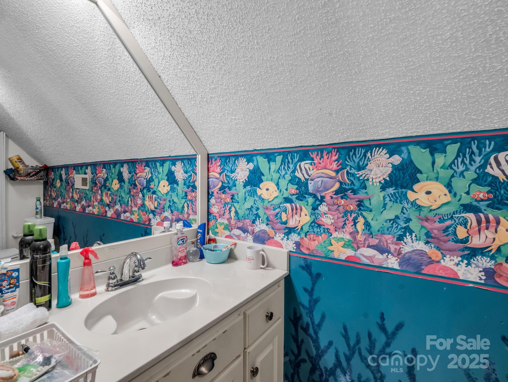 1102 S Mountain Road — Bostic