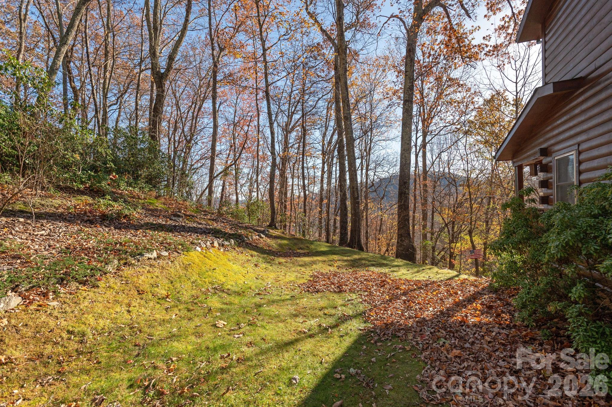 48 & 50 Wild Turkey Run — Black Mountain