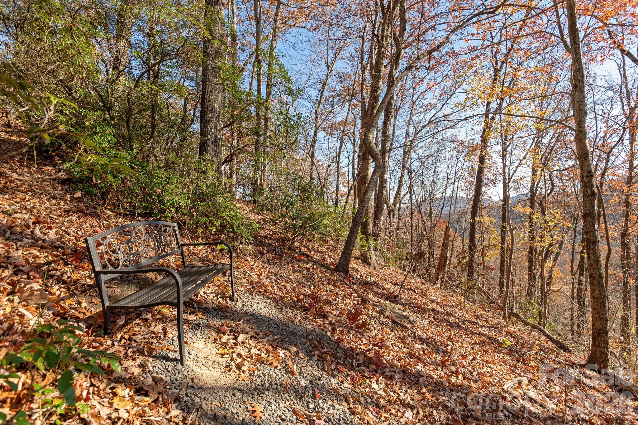 48 & 50 Wild Turkey Run — Black Mountain