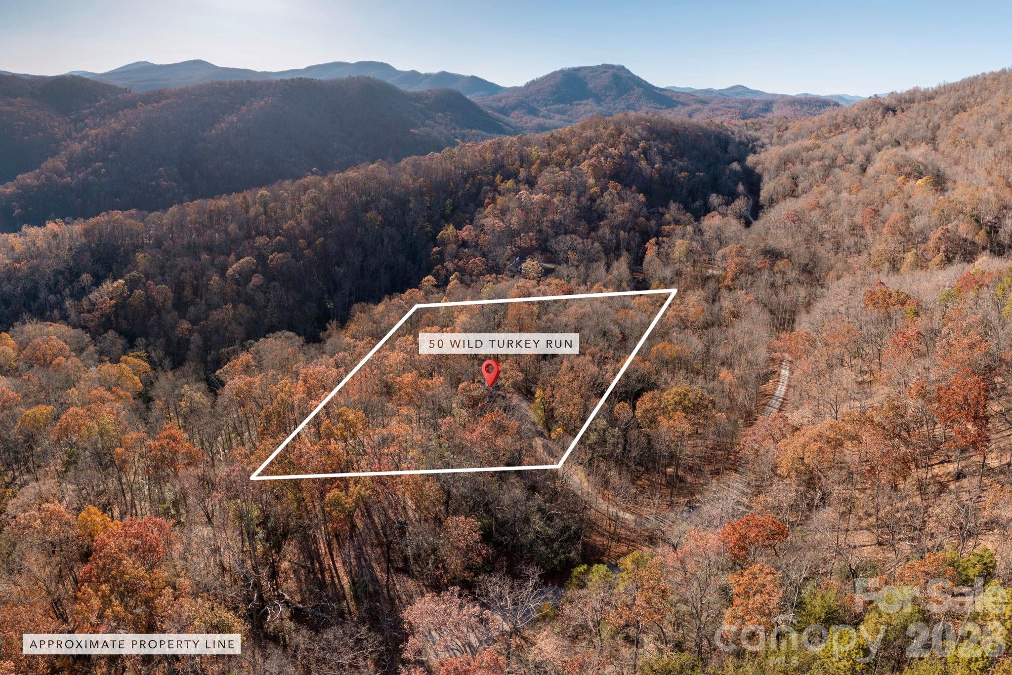48 & 50 Wild Turkey Run — Black Mountain
