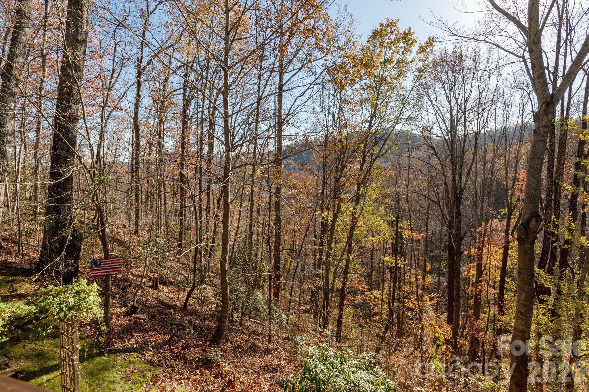 48 & 50 Wild Turkey Run — Black Mountain