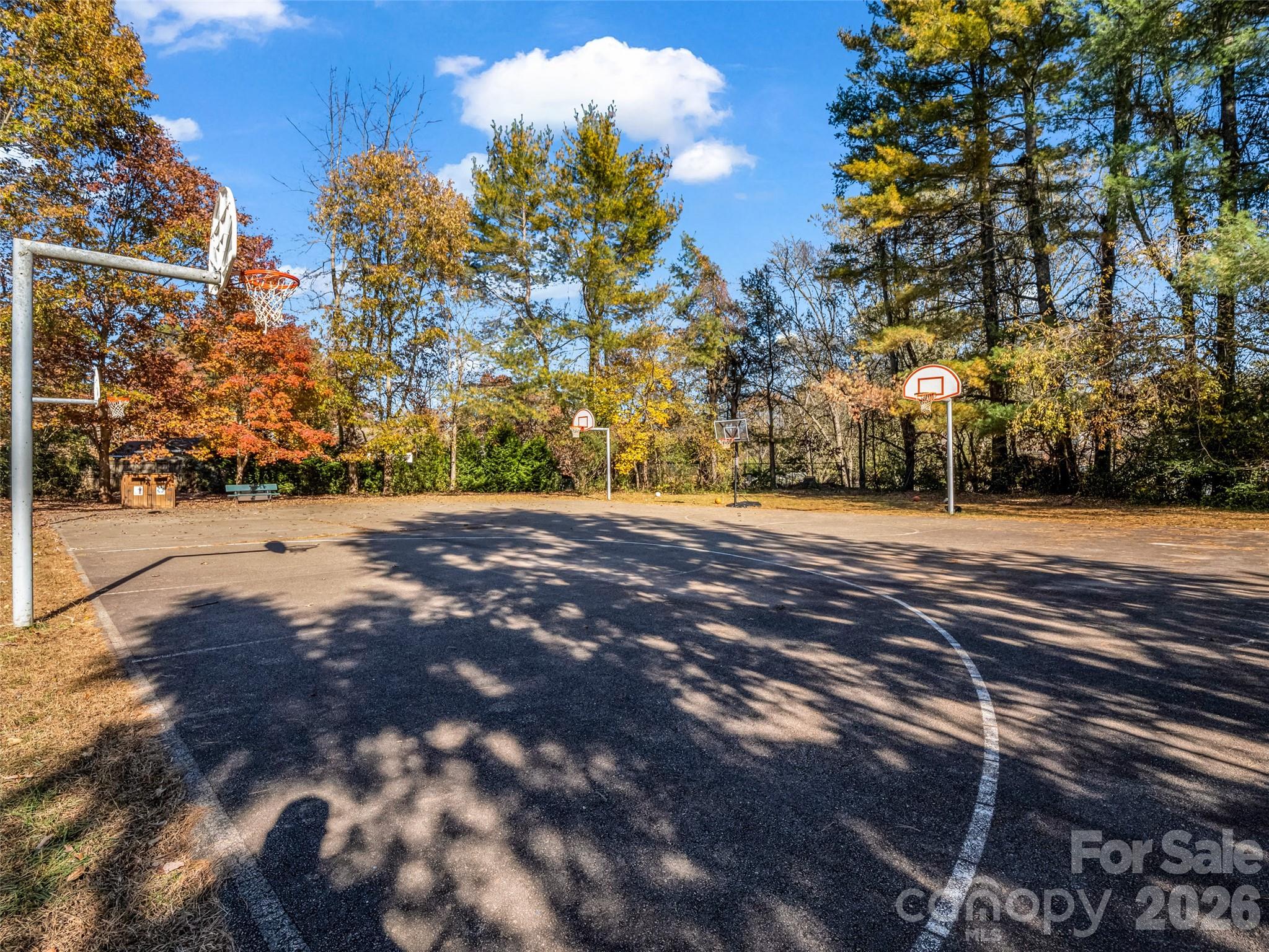 101 Bent Creek Ranch Road — Asheville