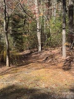 667 Pinewood Knoll Drive — Hendersonville
