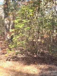 667 Pinewood Knoll Drive — Hendersonville