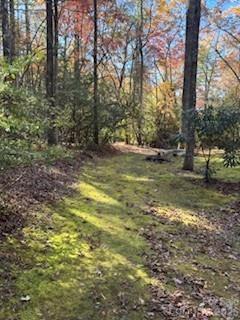 667 Pinewood Knoll Drive — Hendersonville