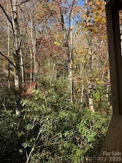 667 Pinewood Knoll Drive — Hendersonville