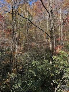667 Pinewood Knoll Drive — Hendersonville