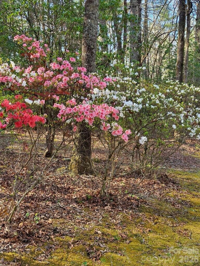 667 Pinewood Knoll Drive — Hendersonville