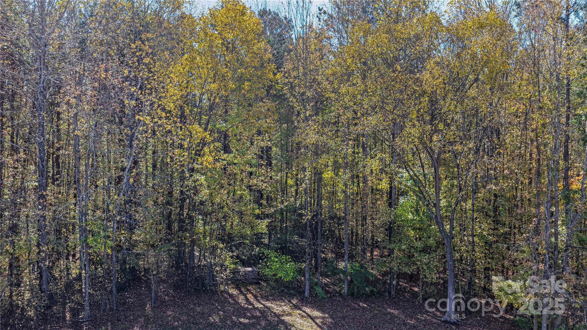 125 Lowder Road — Albemarle