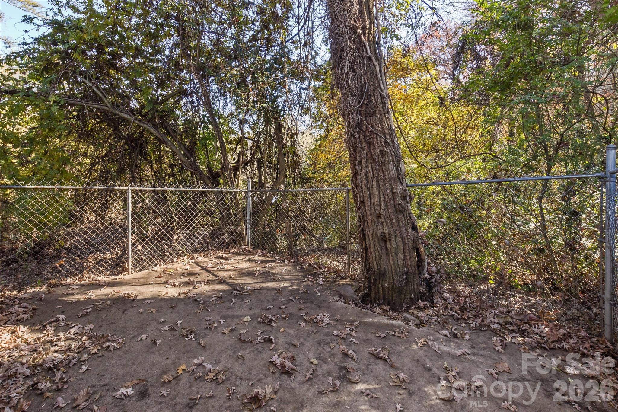 195 Terrace Drive — Canton