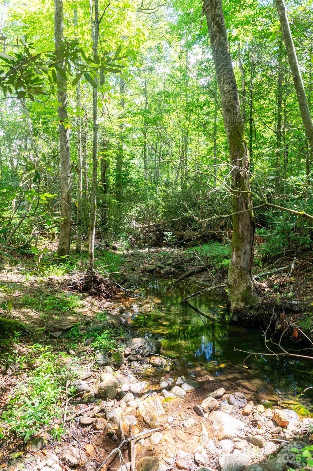 245 White Oak Creek Road — Burnsville