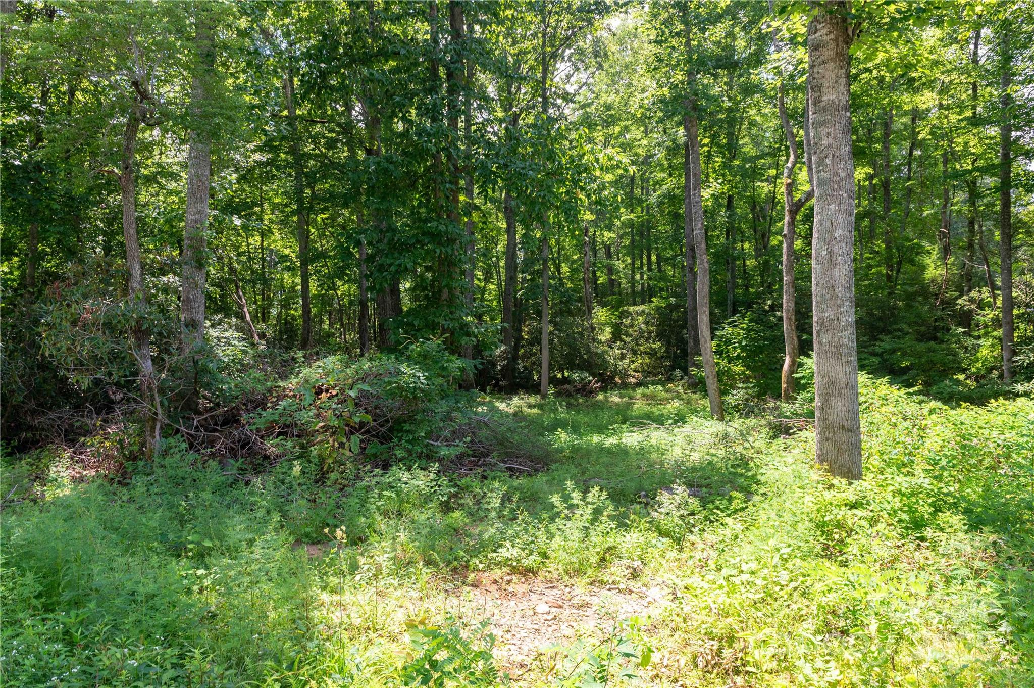 245 White Oak Creek Road — Burnsville