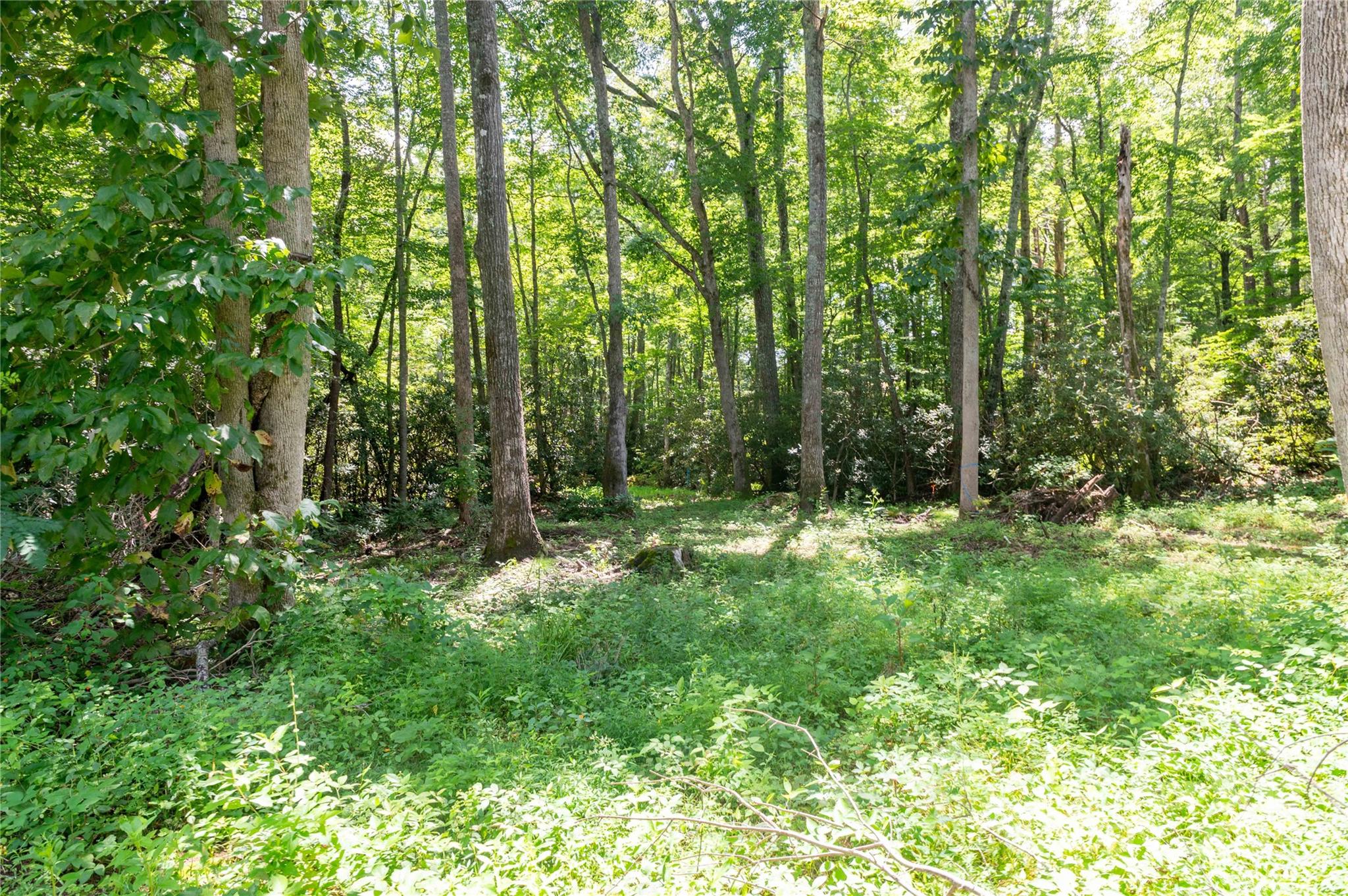 245 White Oak Creek Road — Burnsville