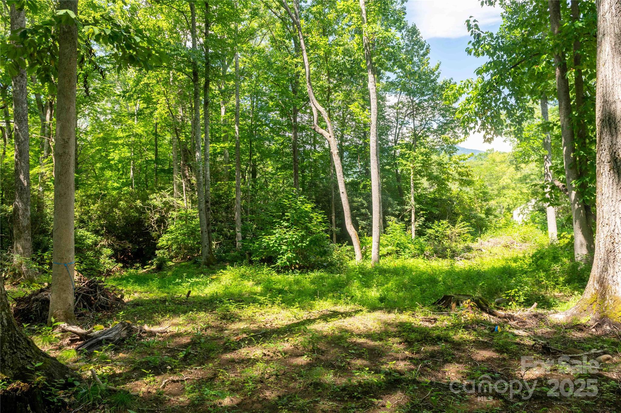 245 White Oak Creek Road — Burnsville
