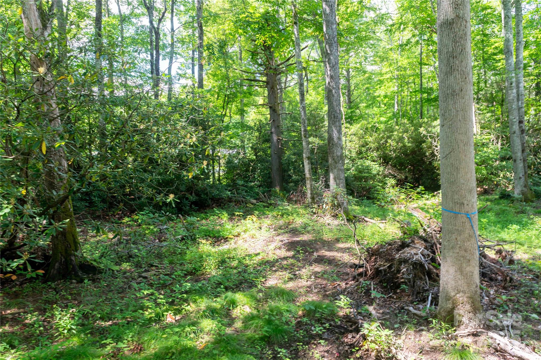 245 White Oak Creek Road — Burnsville