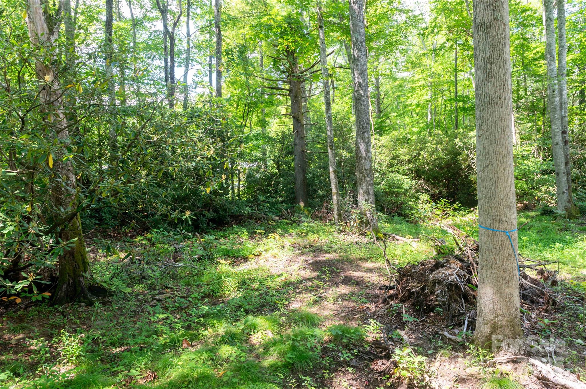 245 White Oak Creek Road — Burnsville