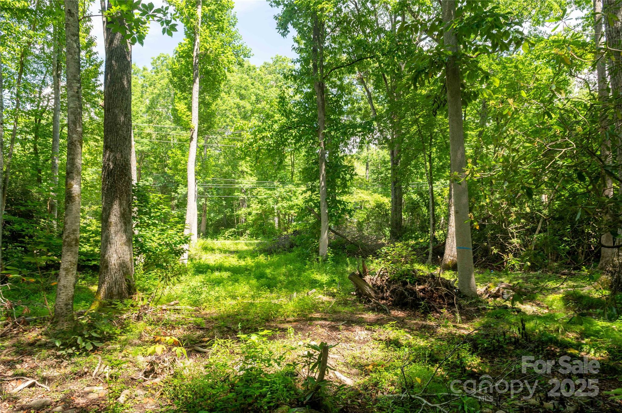 245 White Oak Creek Road — Burnsville