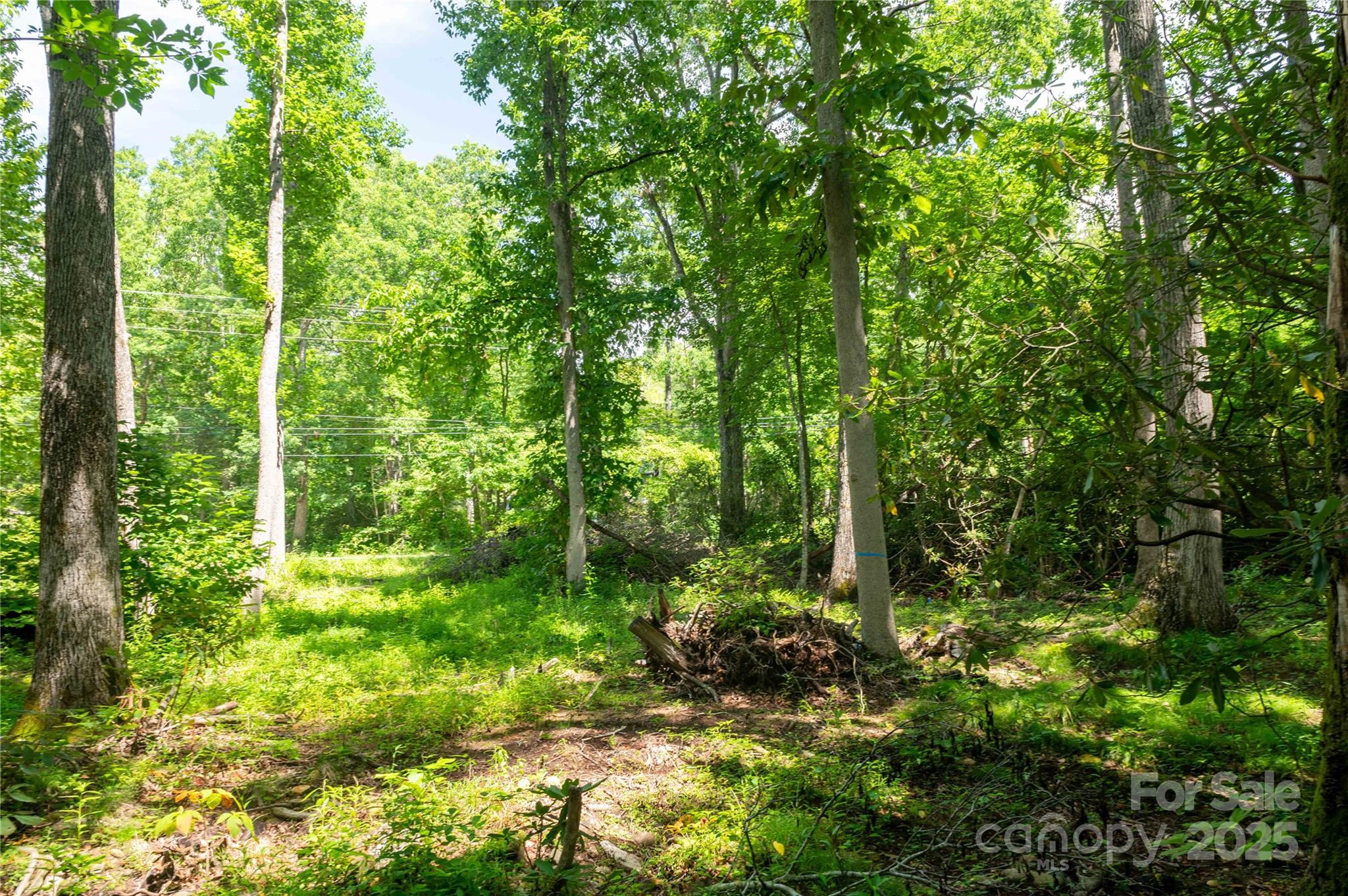245 White Oak Creek Road — Burnsville
