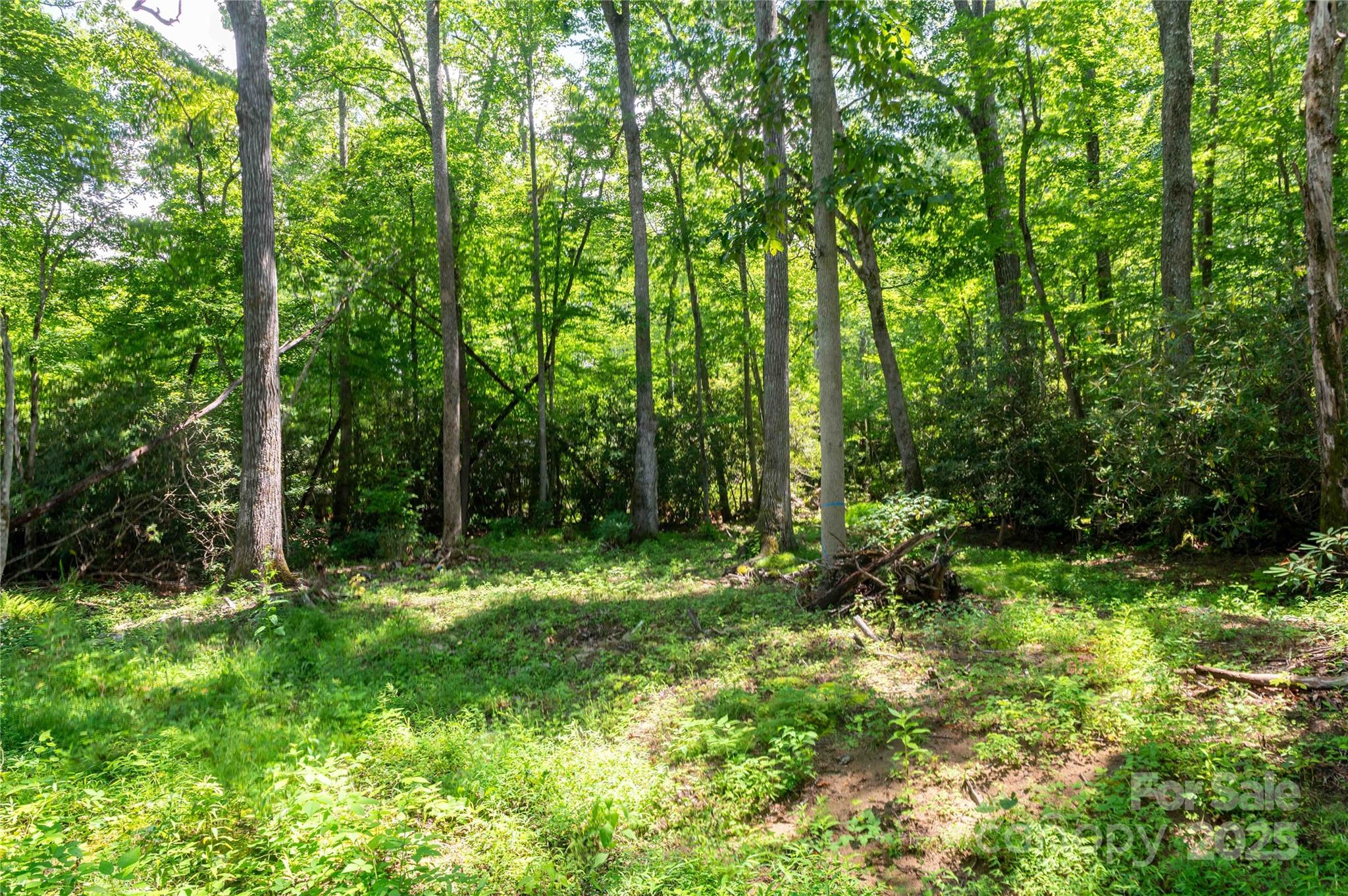 245 White Oak Creek Road — Burnsville