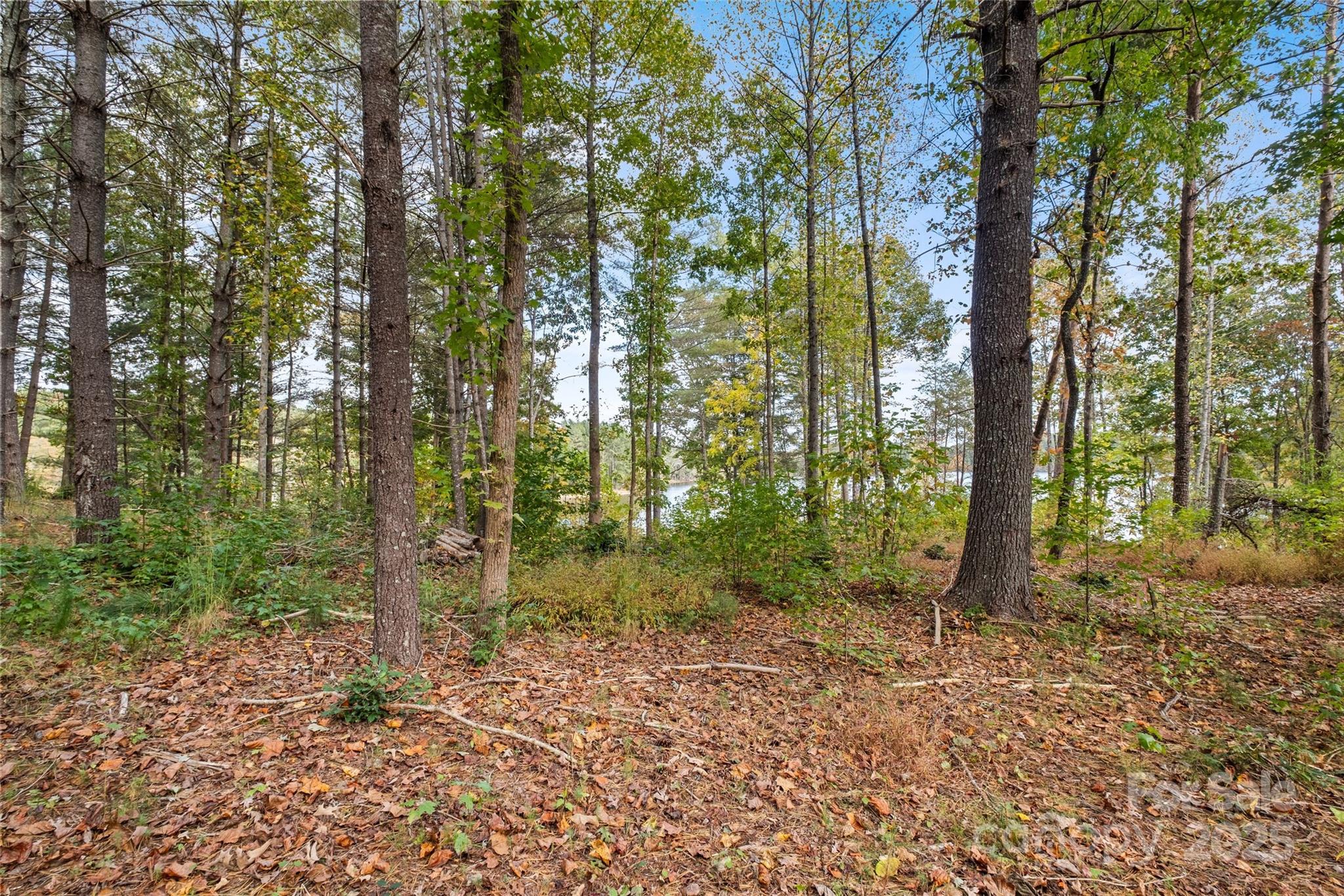 0000 Scenic Lane #241 — Granite Falls