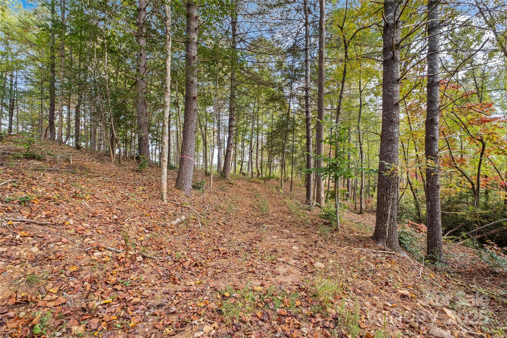 0000 Scenic Lane #241 — Granite Falls