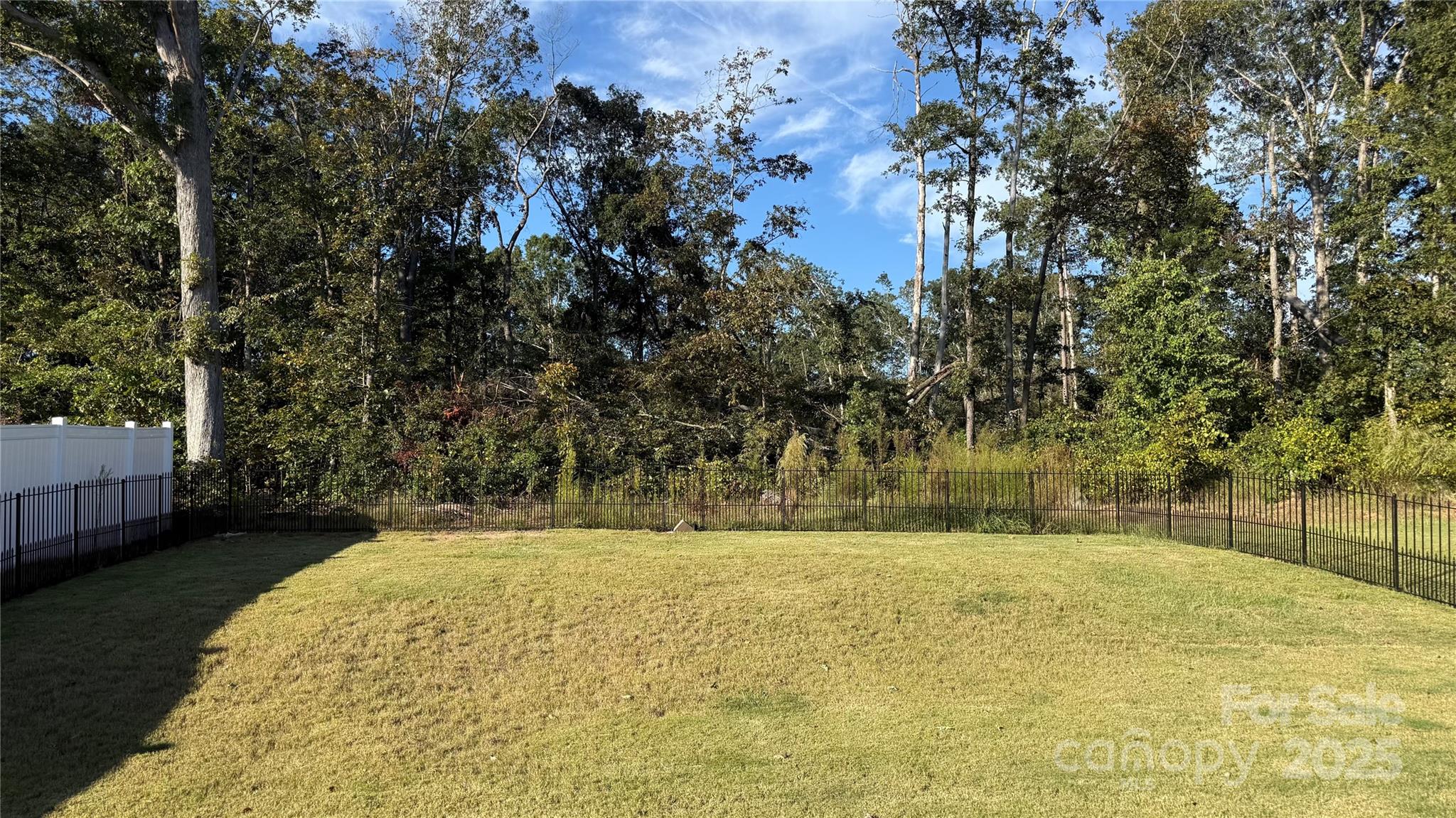 1131 Staghorn Avenue — Lyman