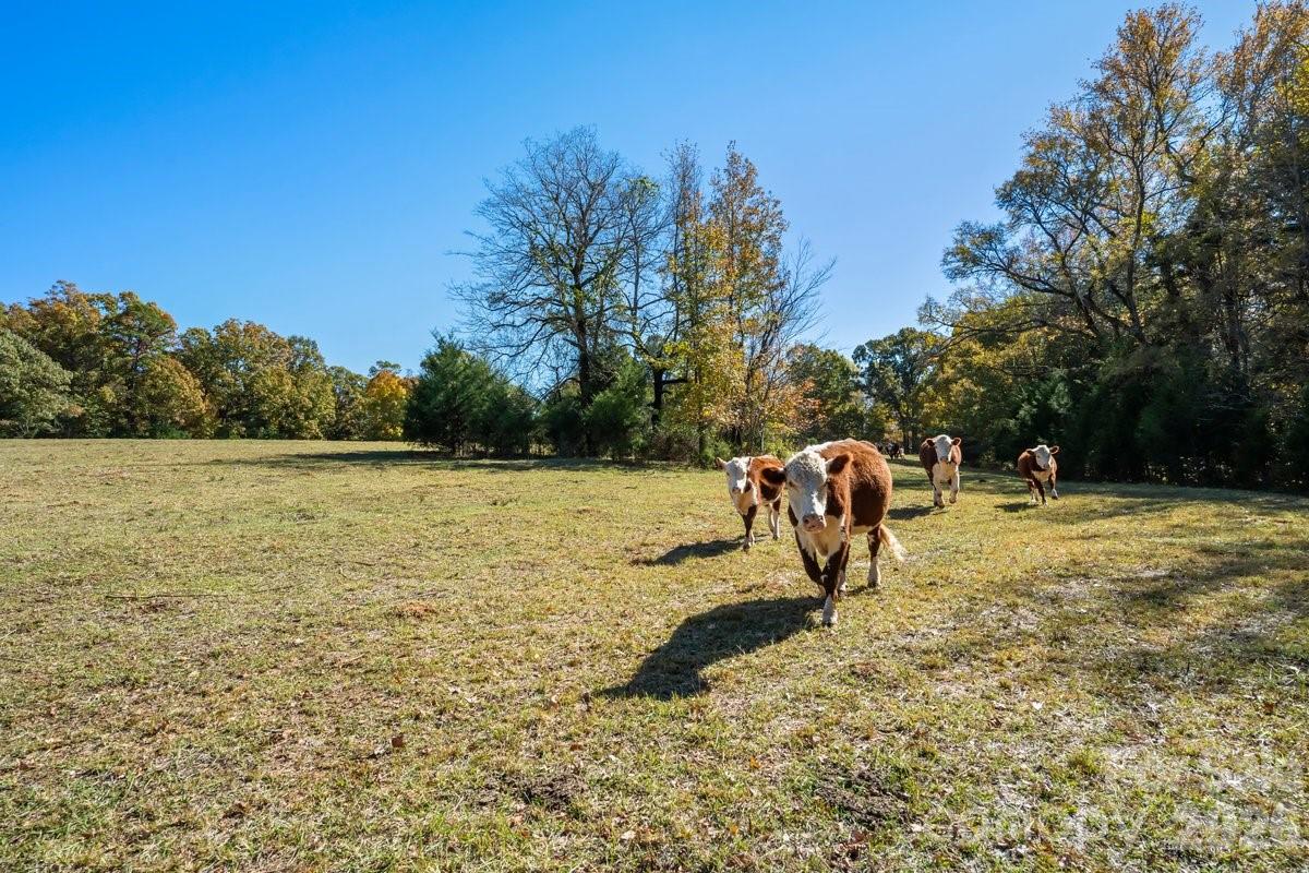 492 Starr Ridge Road — Gaffney