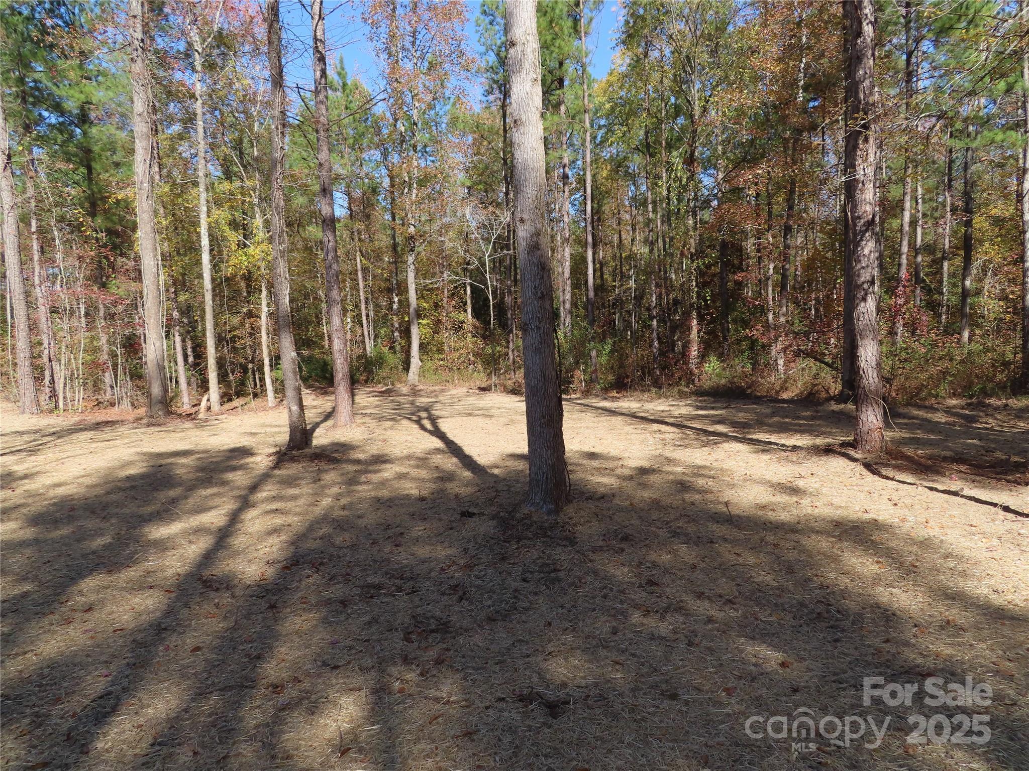 3812 Winter Road #5 — Rock Hill