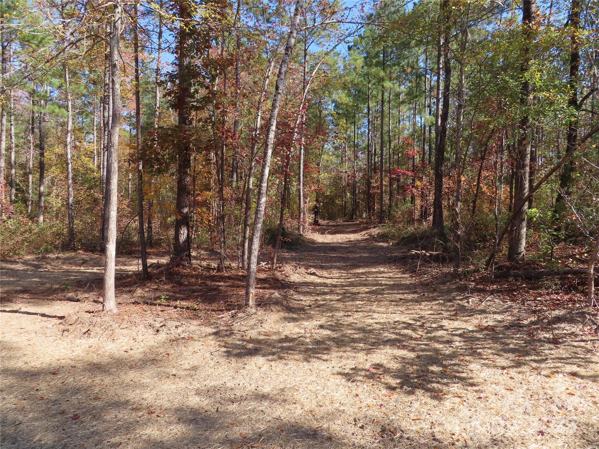 3812 Winter Road #5 — Rock Hill