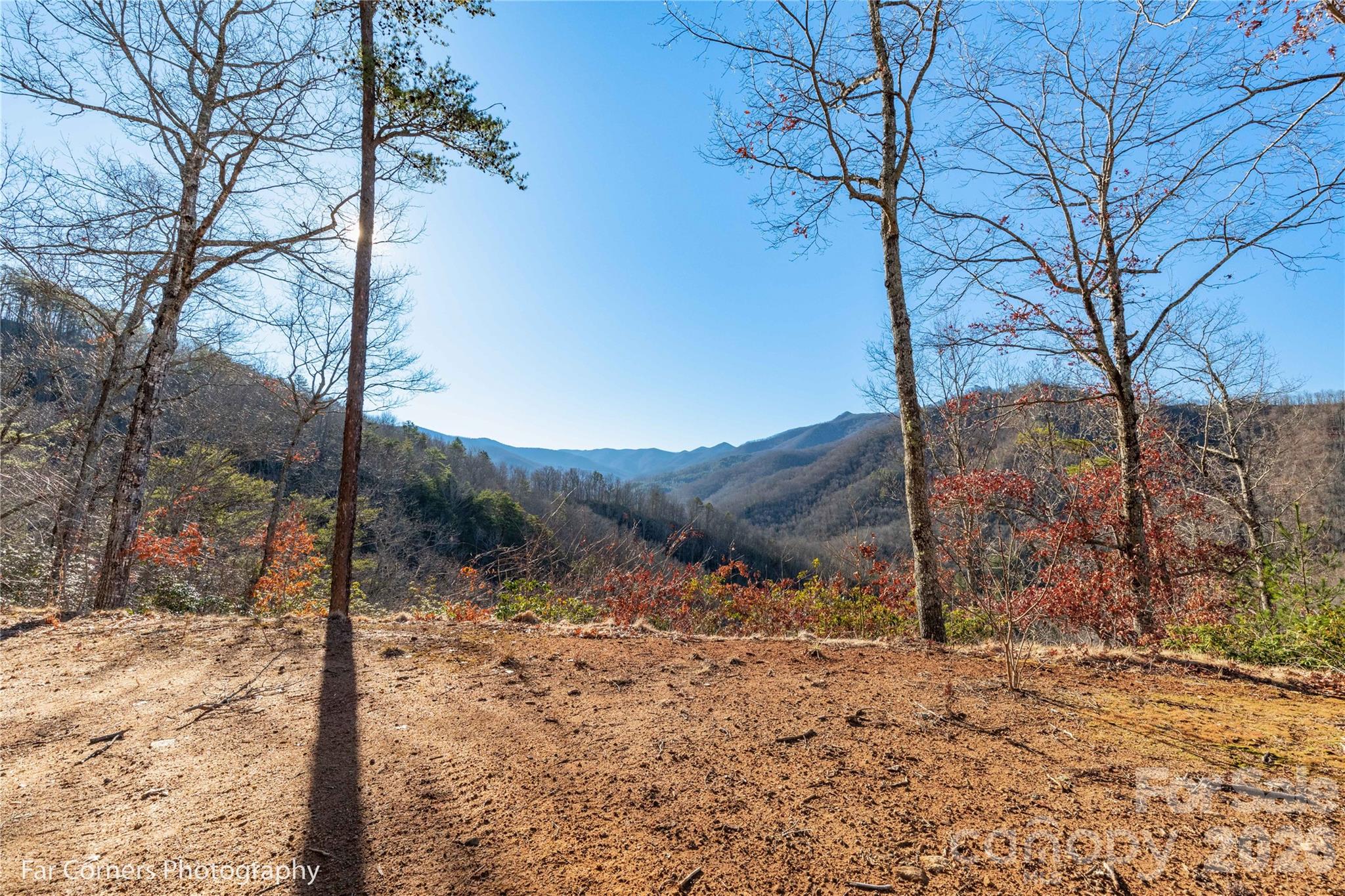 9999 Sourwood Road — Canton