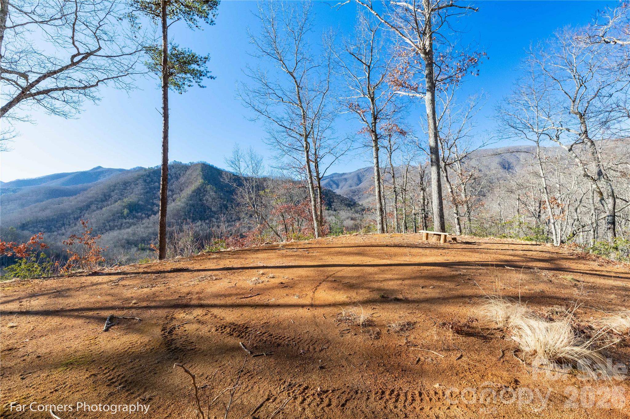 9999 Sourwood Road — Canton