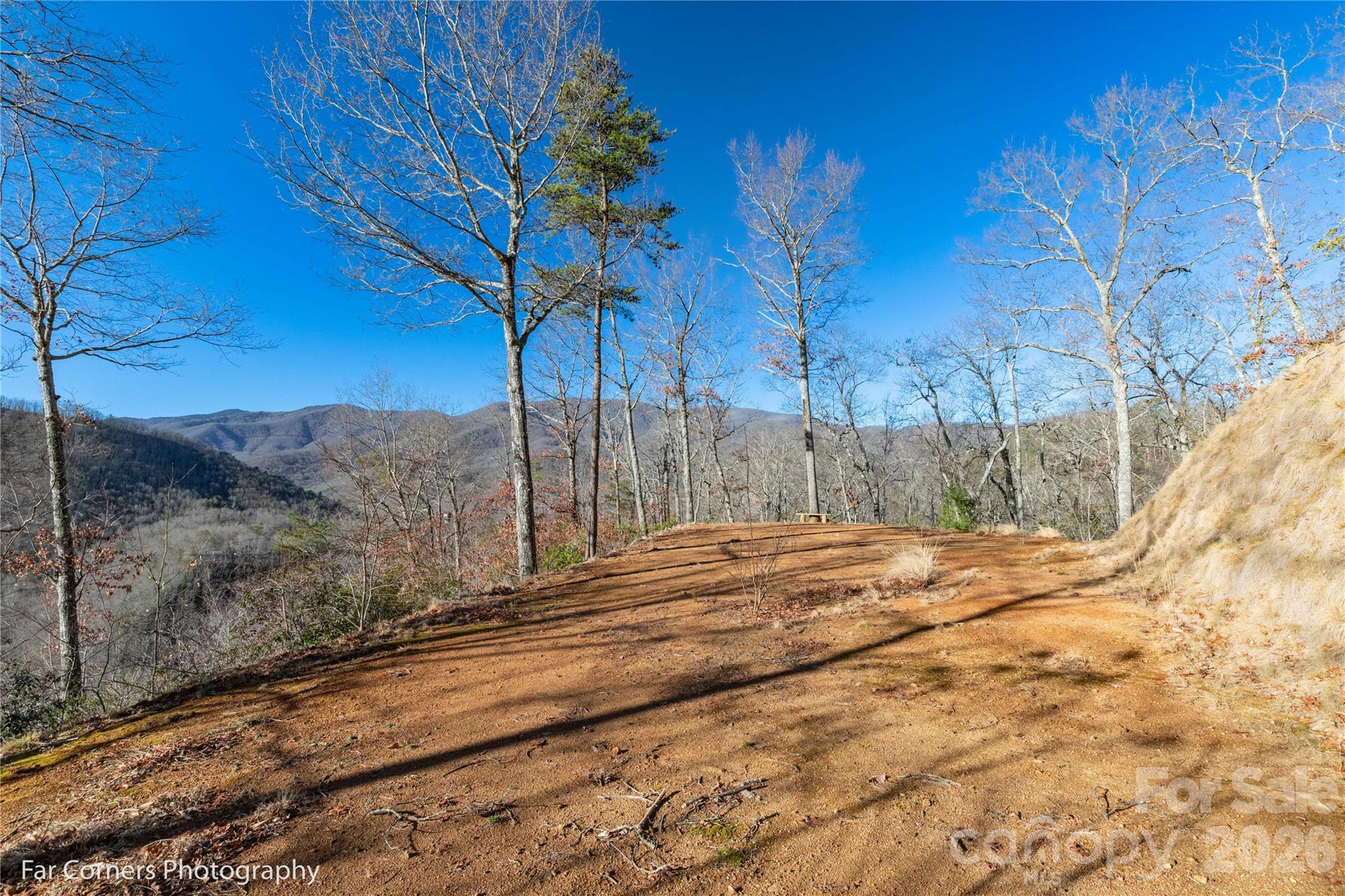 9999 Sourwood Road — Canton