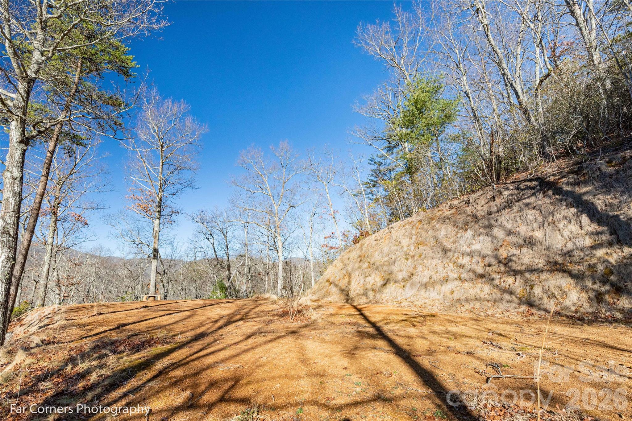 9999 Sourwood Road — Canton