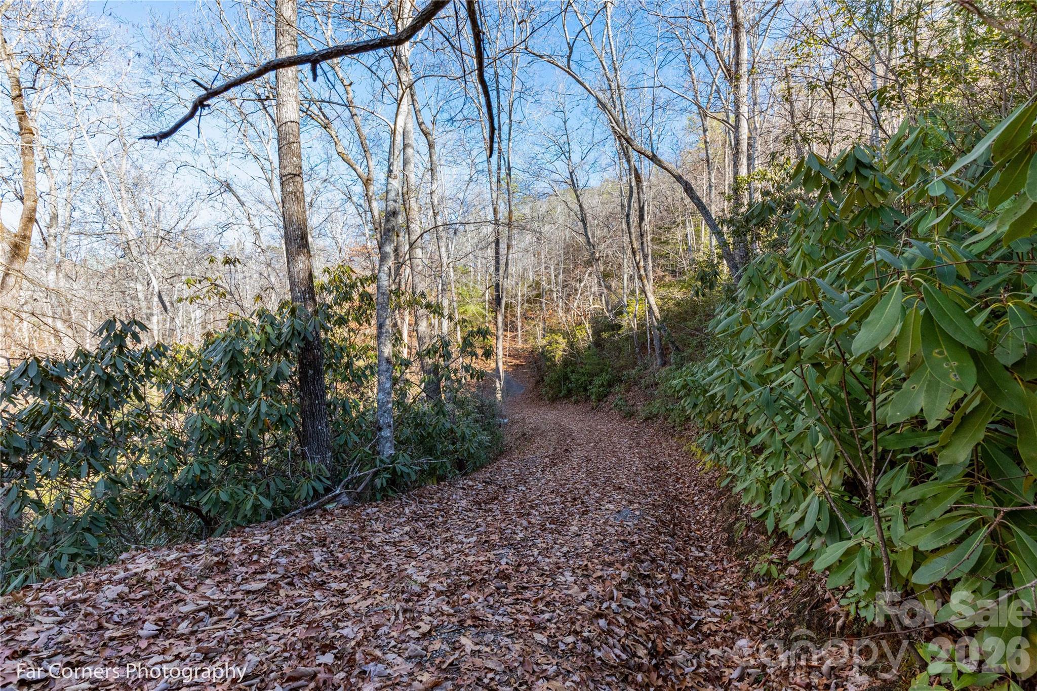 9999 Sourwood Road — Canton