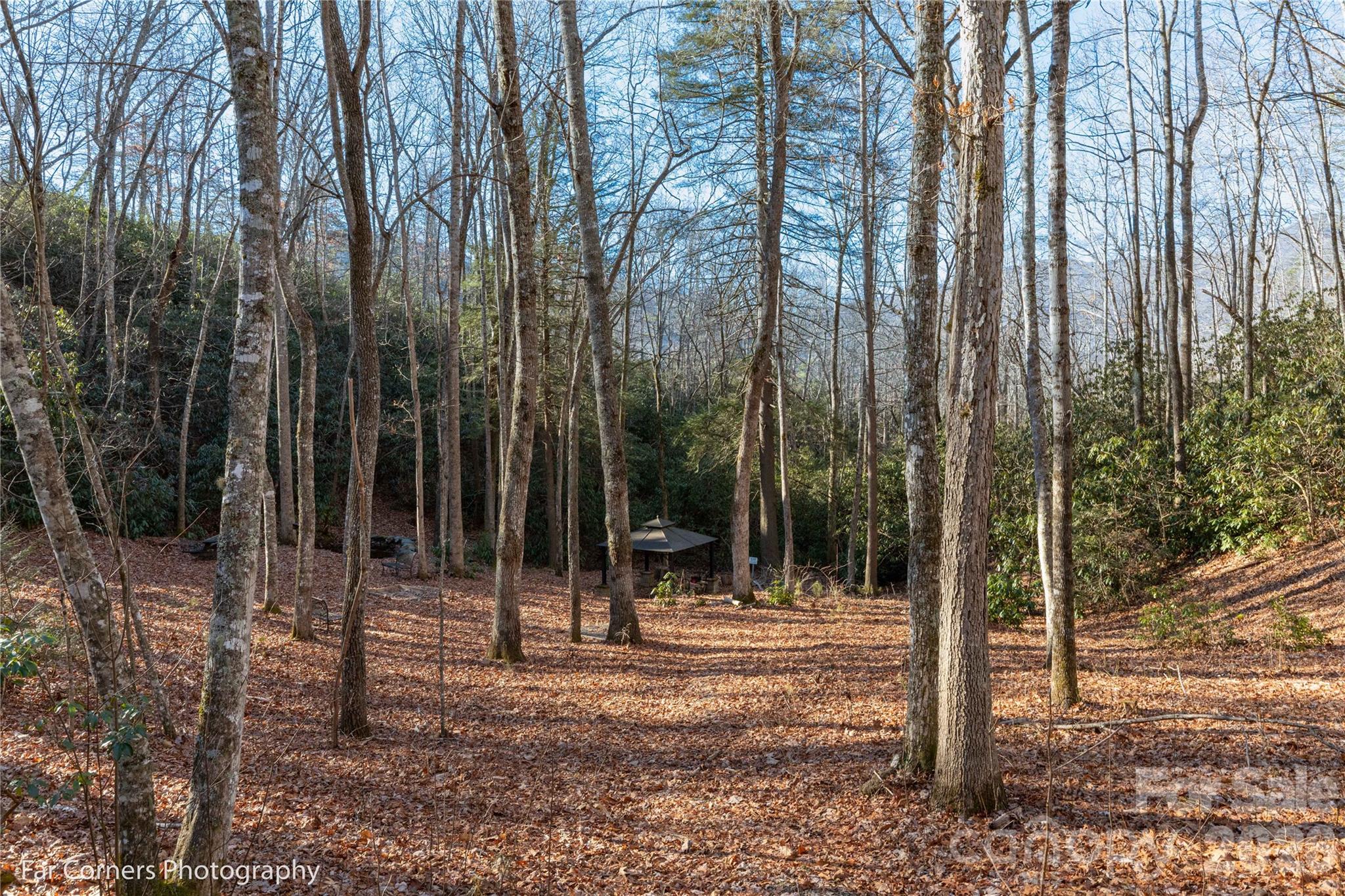 9999 Sourwood Road — Canton