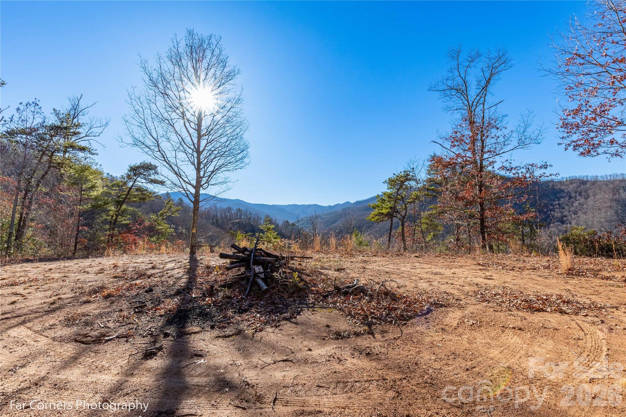 9999 Sourwood Road — Canton