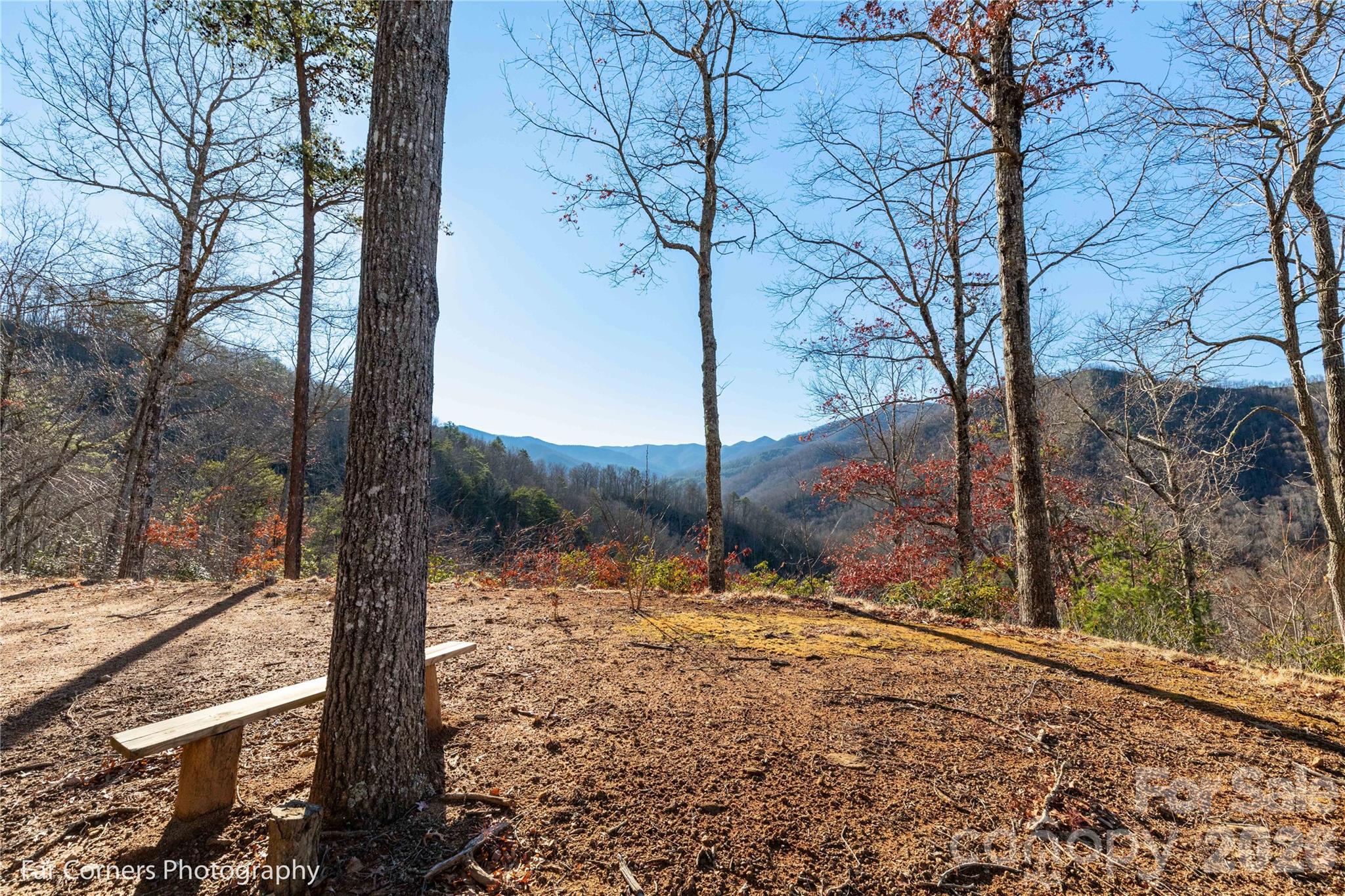 9999 Sourwood Road — Canton