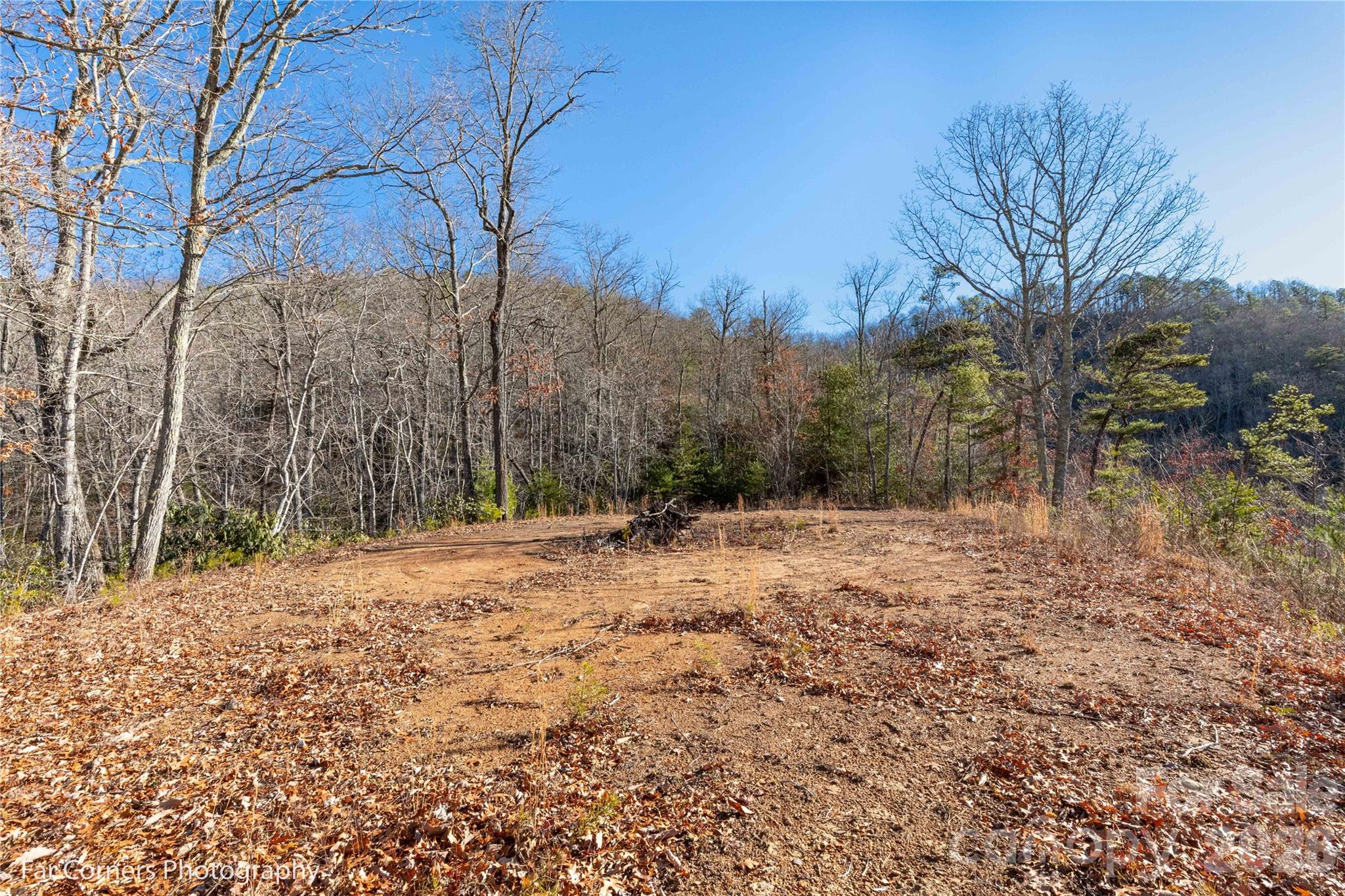 0000 Sourwood Road — Canton