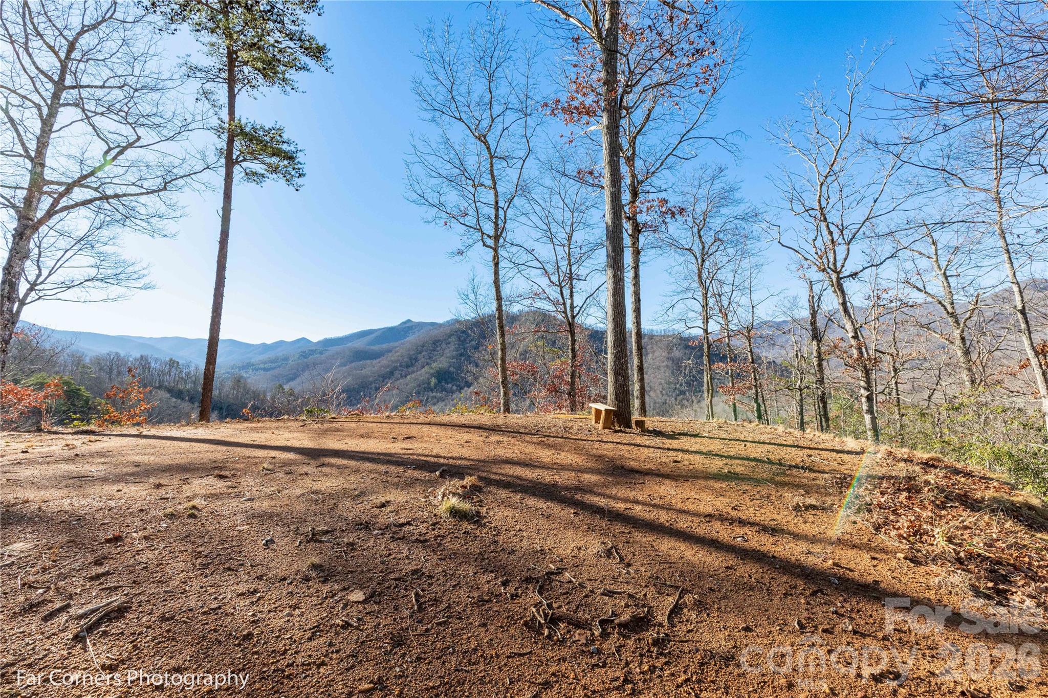 0000 Sourwood Road — Canton