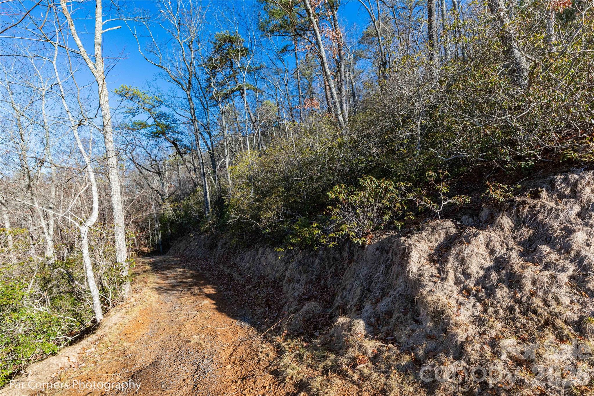 0000 Sourwood Road — Canton