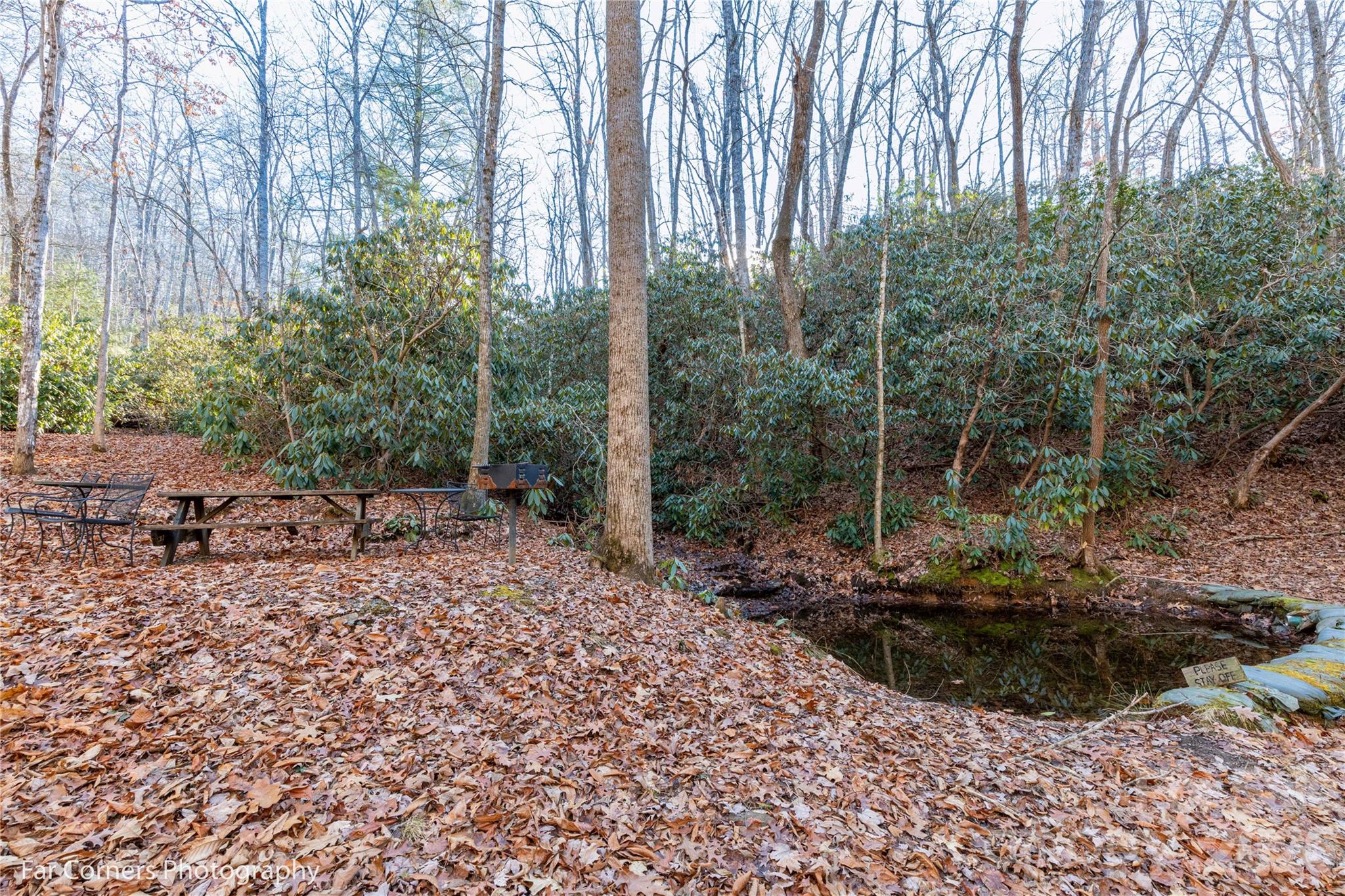 0000 Sourwood Road — Canton