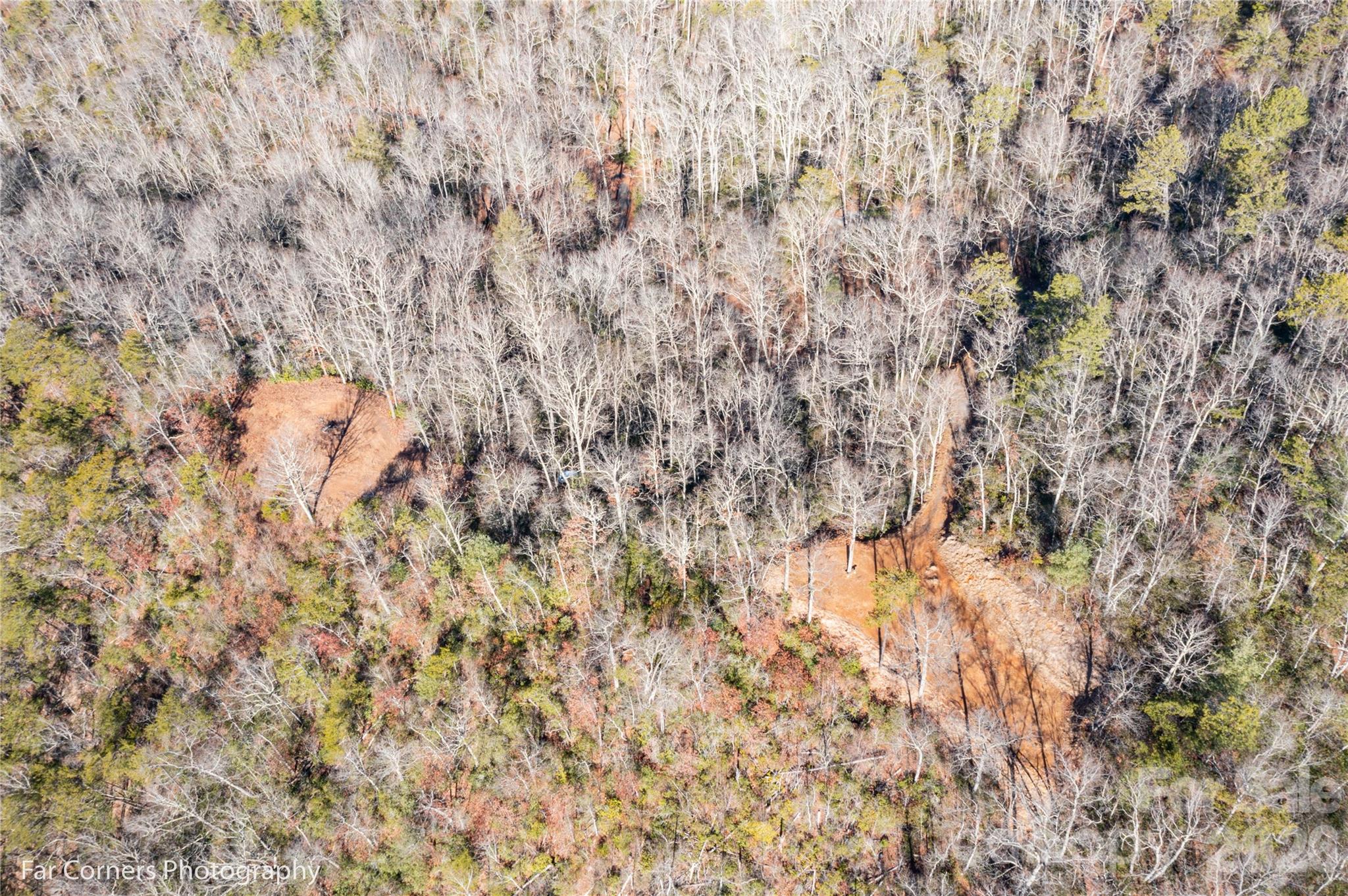 0000 Sourwood Road — Canton
