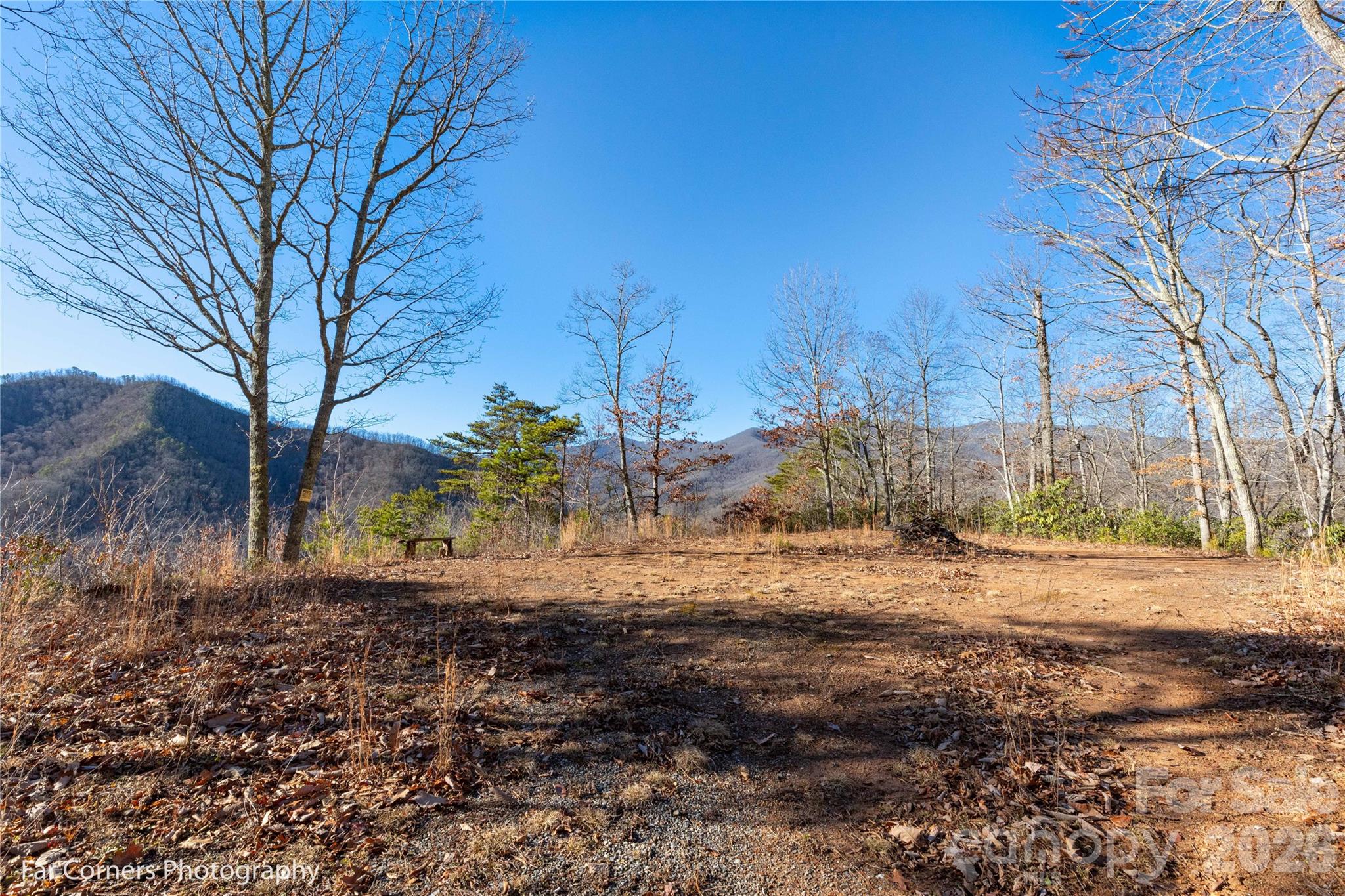 0000 Sourwood Road — Canton