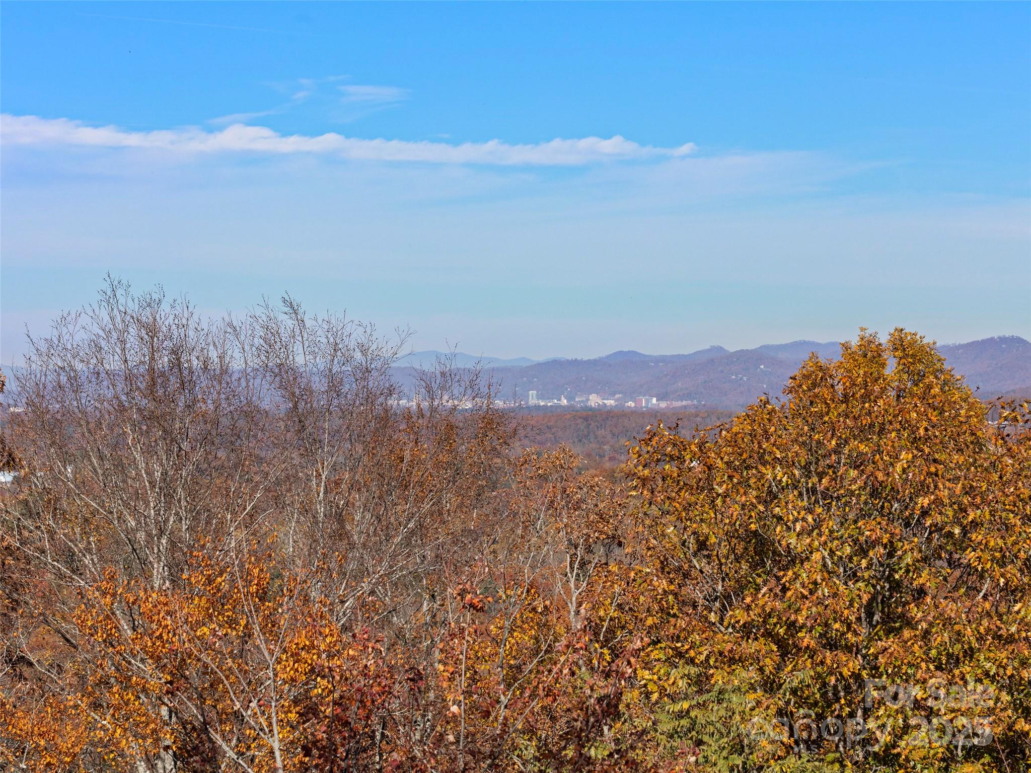 222 Secluded Hills Lane — Arden