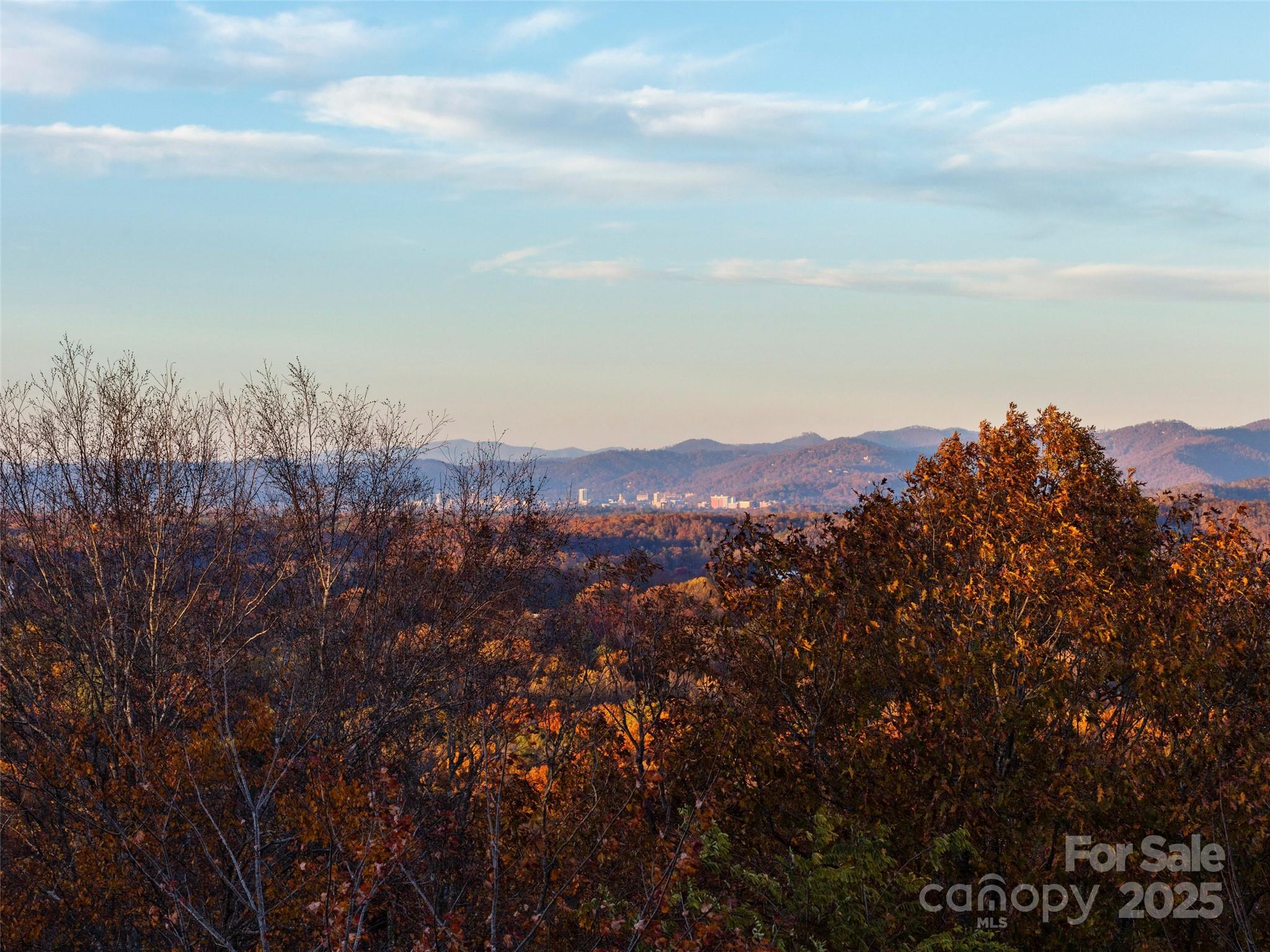 222 Secluded Hills Lane — Arden