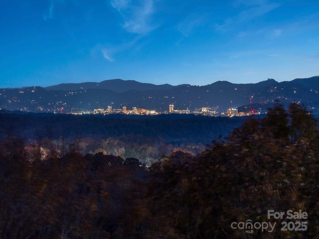 222 Secluded Hills Lane — Arden
