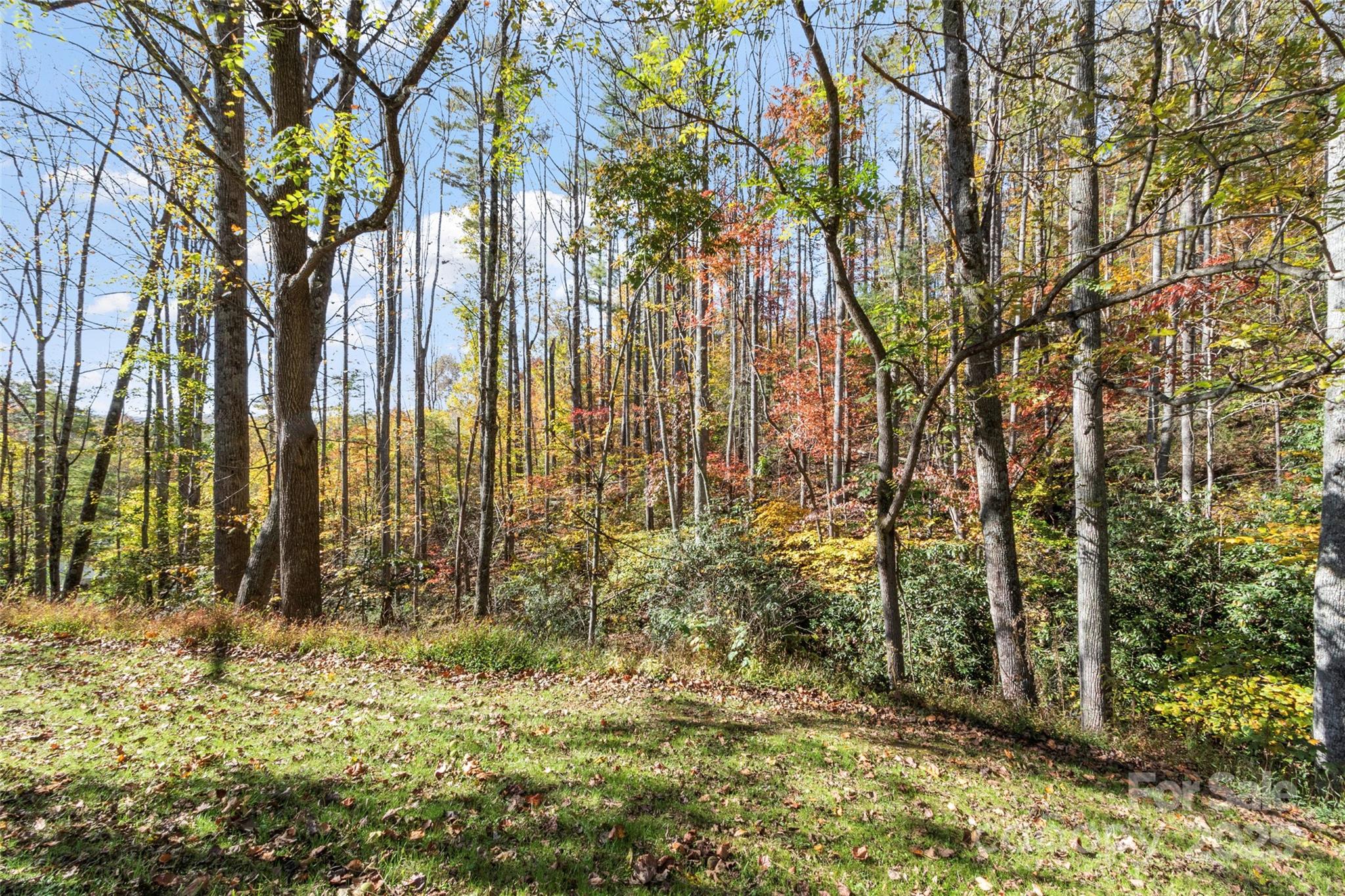 96 Thompson Road — Spruce Pine